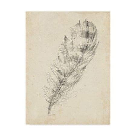 Ethan Harper 'Ua Ch Feather Sketch Ii' Canvas Art,35x47